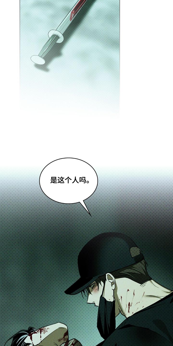 绿色纹理q版图片漫画,第146话1图