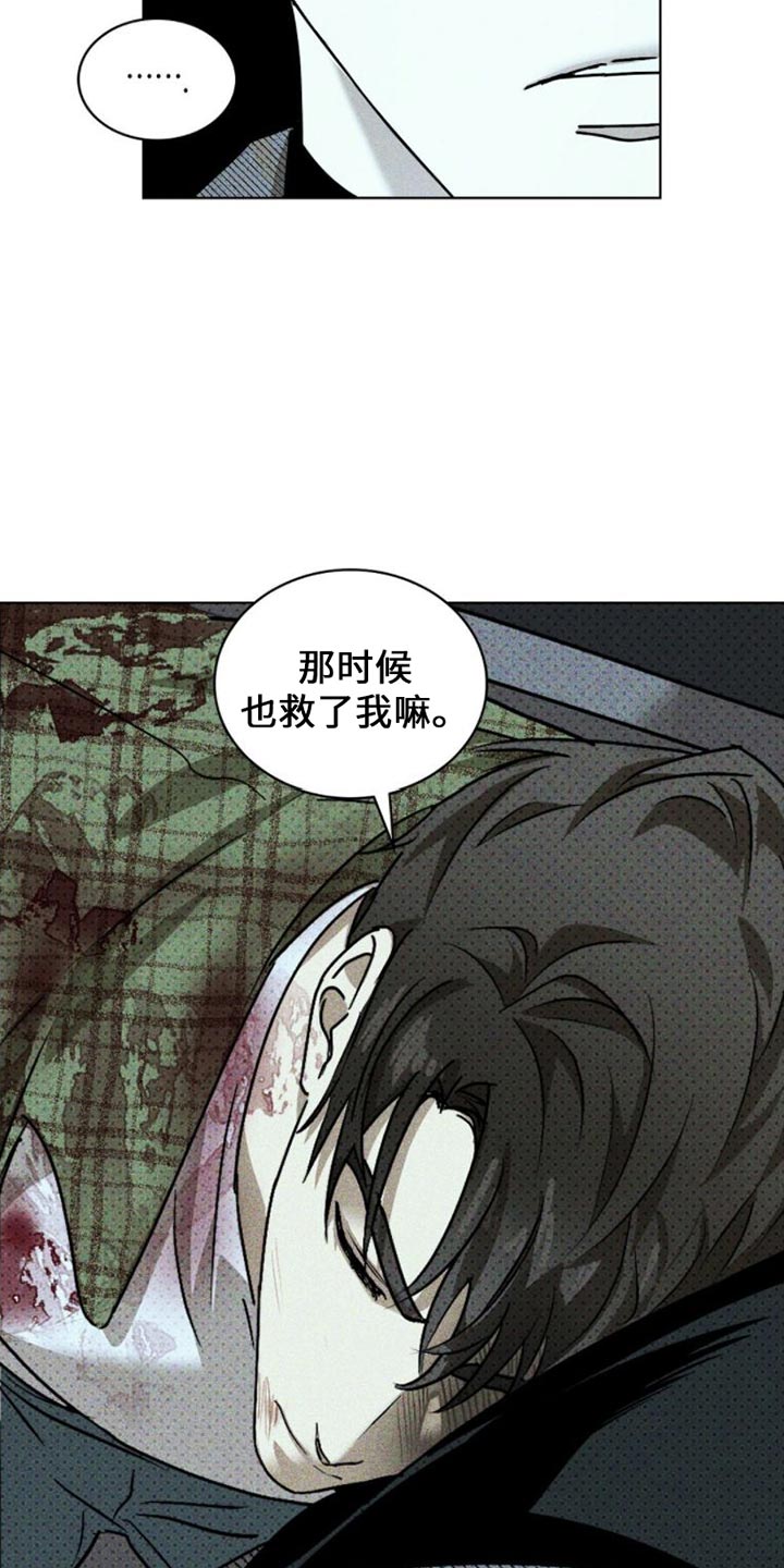 绿色纹理图案漫画,第87话1图