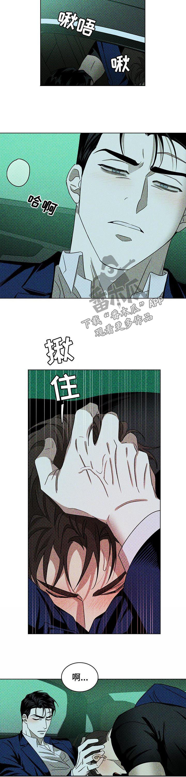 绿色纹理感衬衫大码漫画,第38话1图