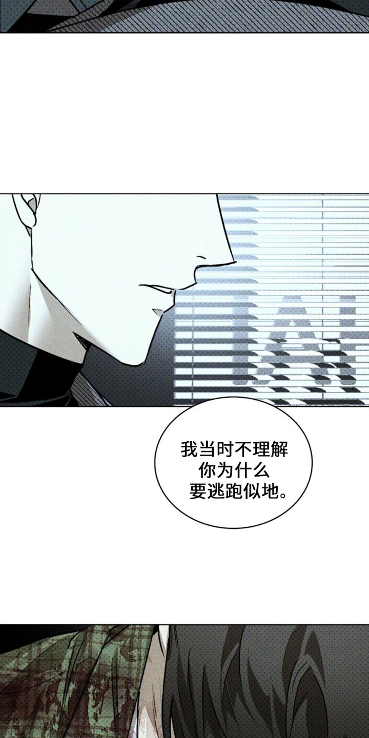 绿色纹理图案漫画,第87话2图