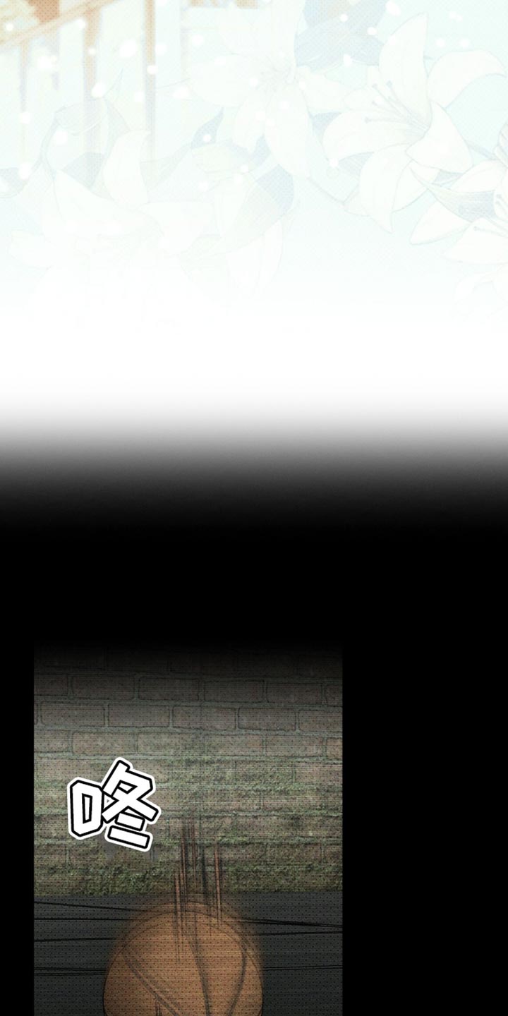 绿色纹理感衬衫大码漫画,第156话2图