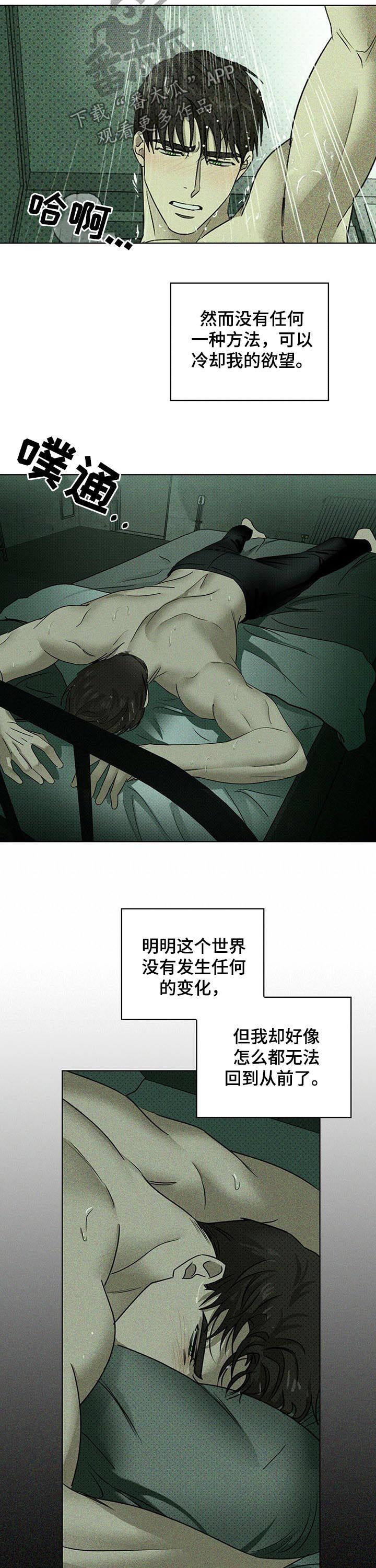 绿色纹理感衬衫大码漫画,第45话1图