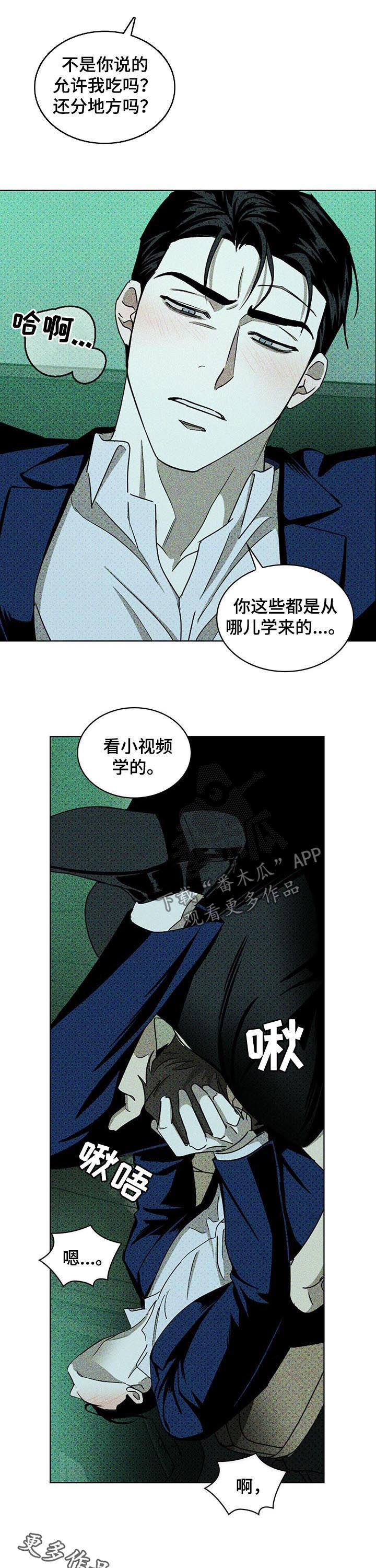 绿色纹理感衬衫大码漫画,第38话1图