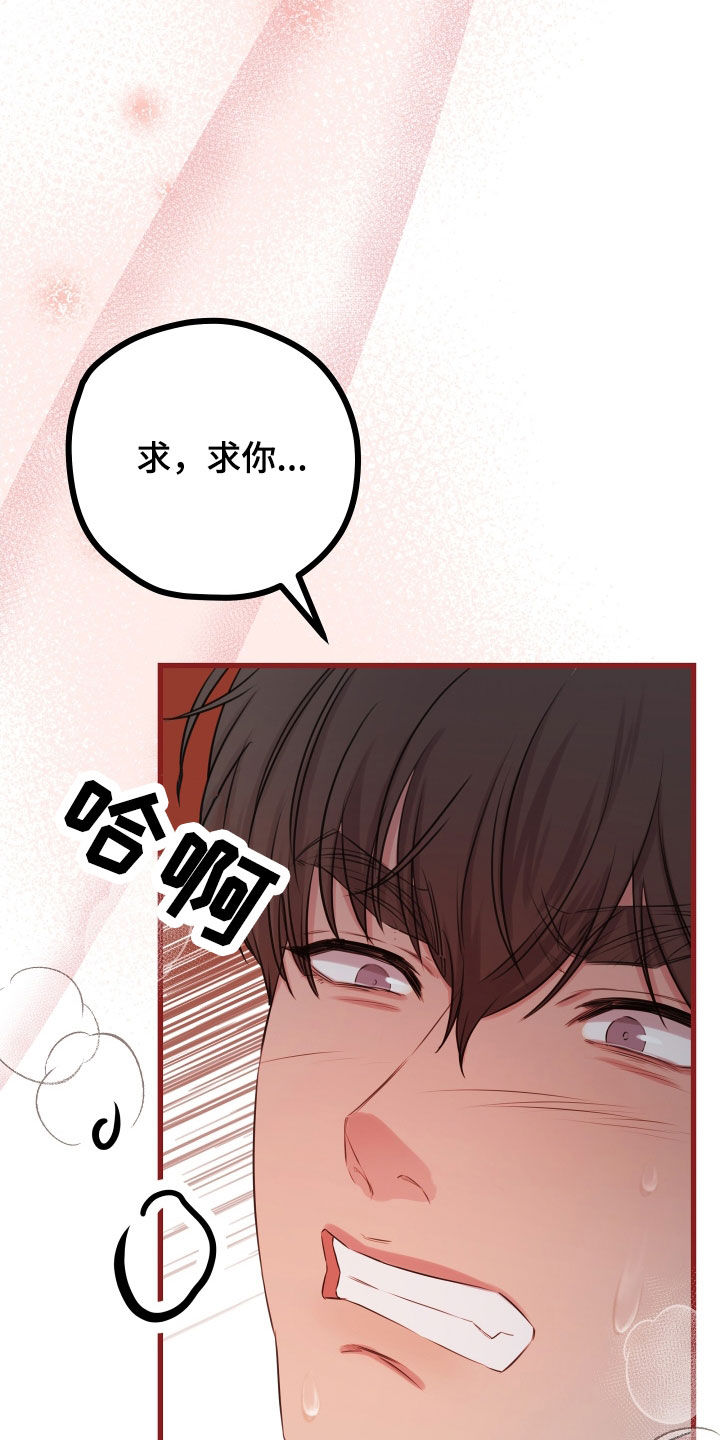 申请核减典型案例报送的情况说明漫画,第64话2图