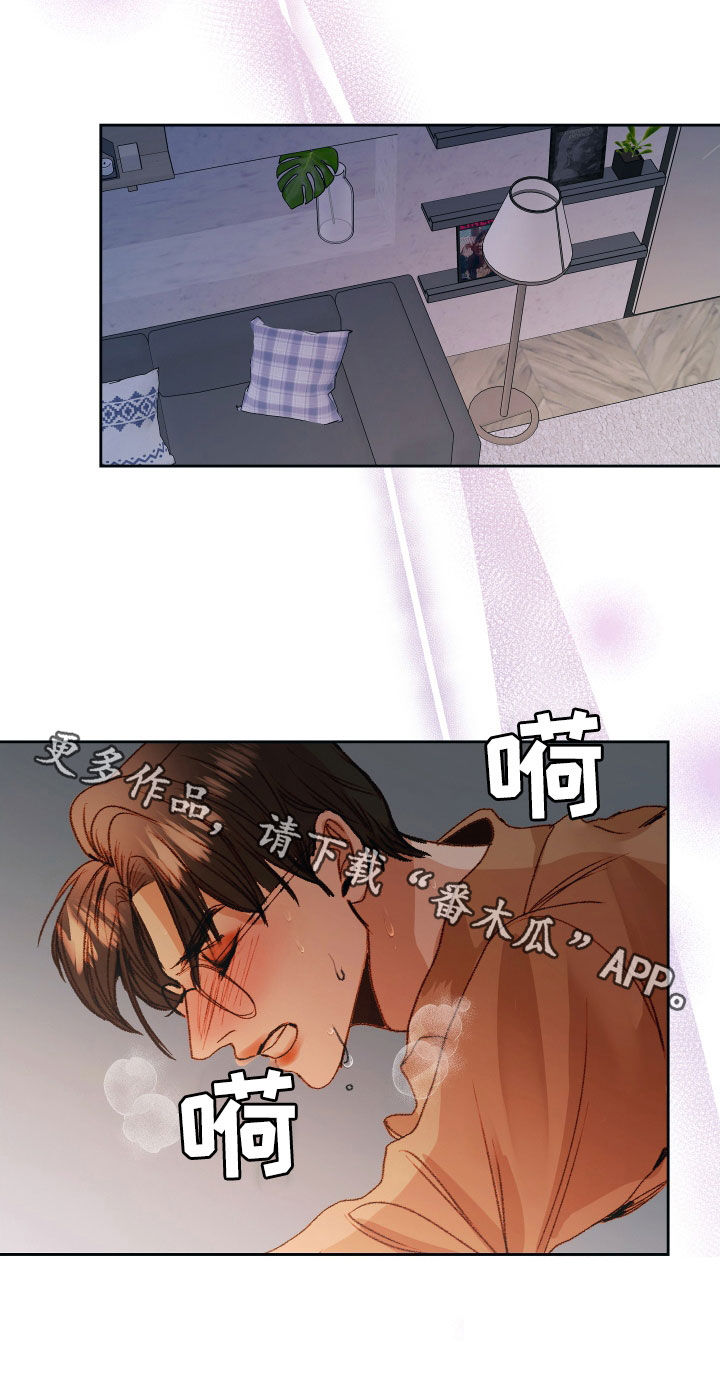 申请核减典型案例报送的情况说明漫画,第56话2图