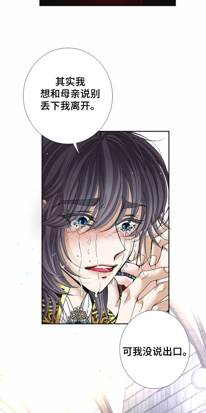 申请核减典型案例报送的情况说明漫画,第84话1图