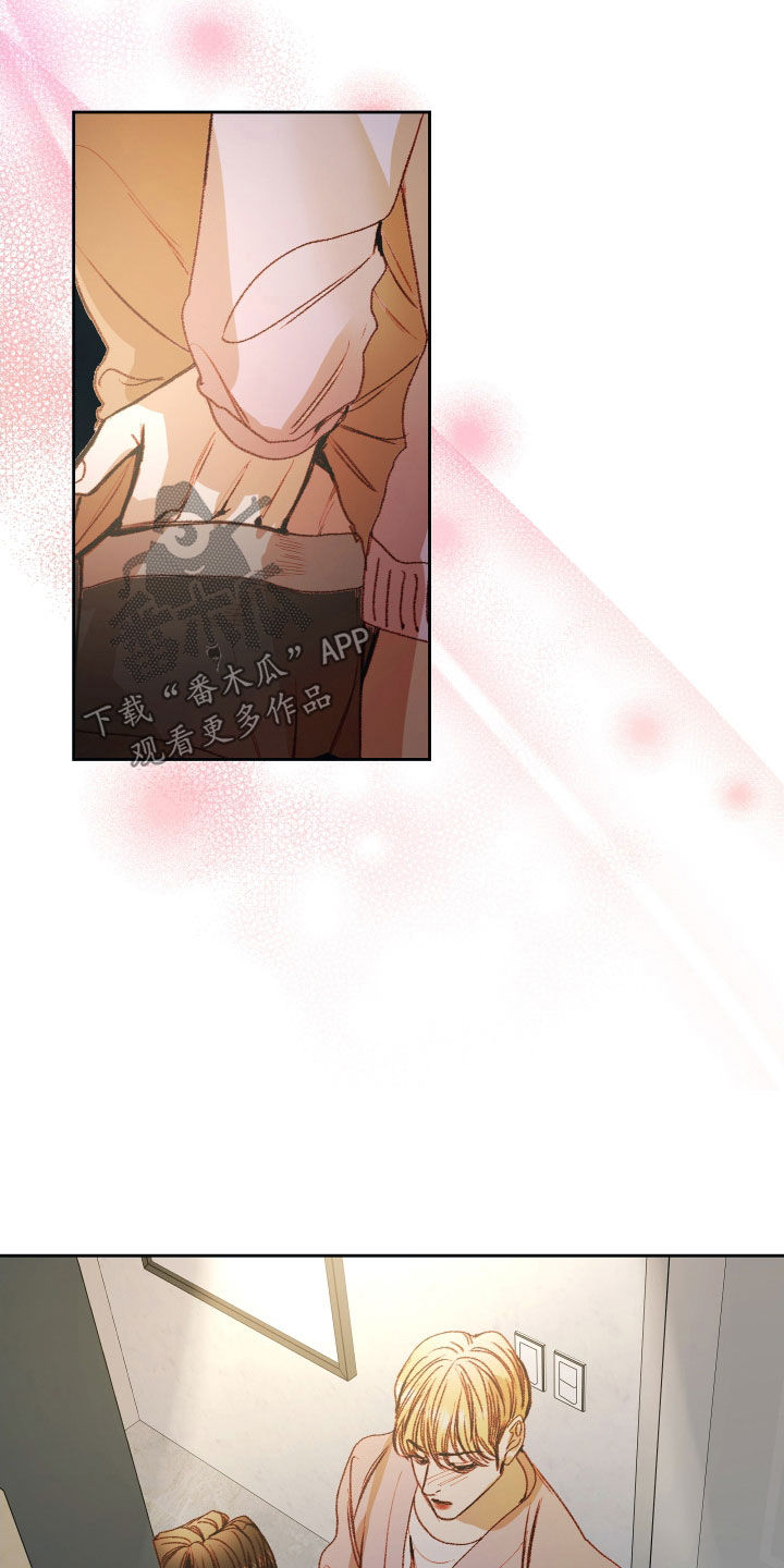 申请核减典型案例报送的情况说明漫画,第56话1图