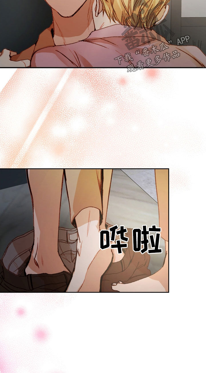 申请核减典型案例报送的情况说明漫画,第56话2图