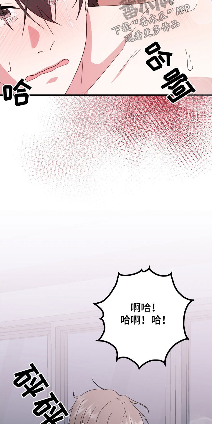 申请核减典型案例报送的情况说明漫画,第66话1图