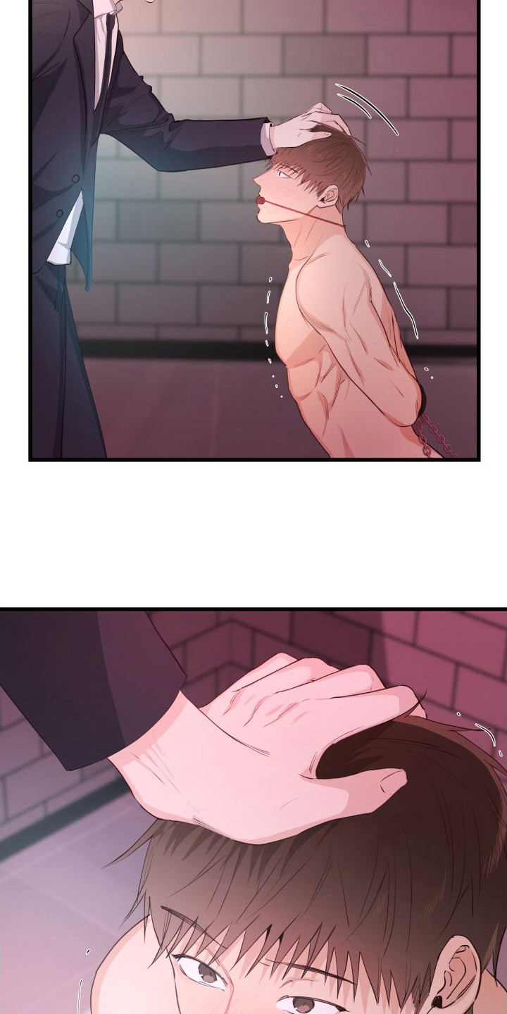 申请核减典型案例报送的情况说明漫画,第20话1图