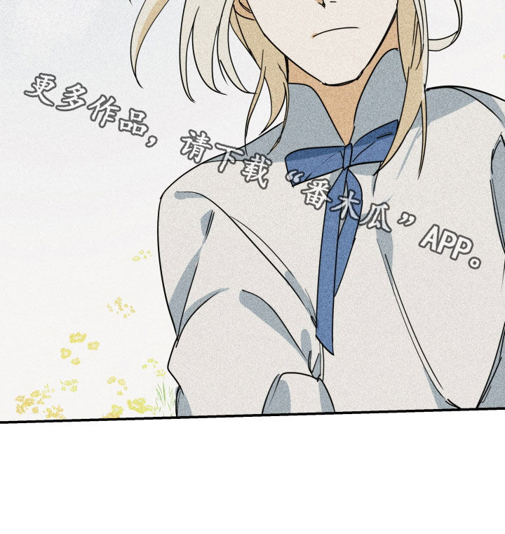 申请核减典型案例报送的情况说明漫画,第41话2图