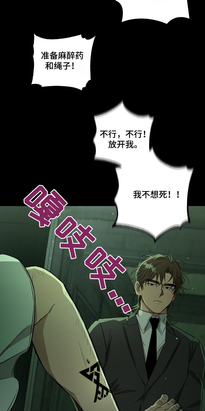 区域间谍漫画,第137话2图