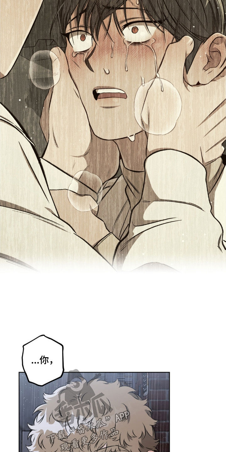 区域间谍漫画,第105章：【第二季】体贴1图