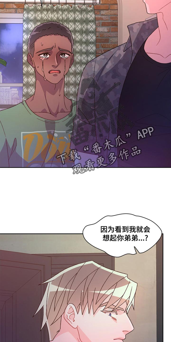 亚瑟的爱好漫画,第242话1图