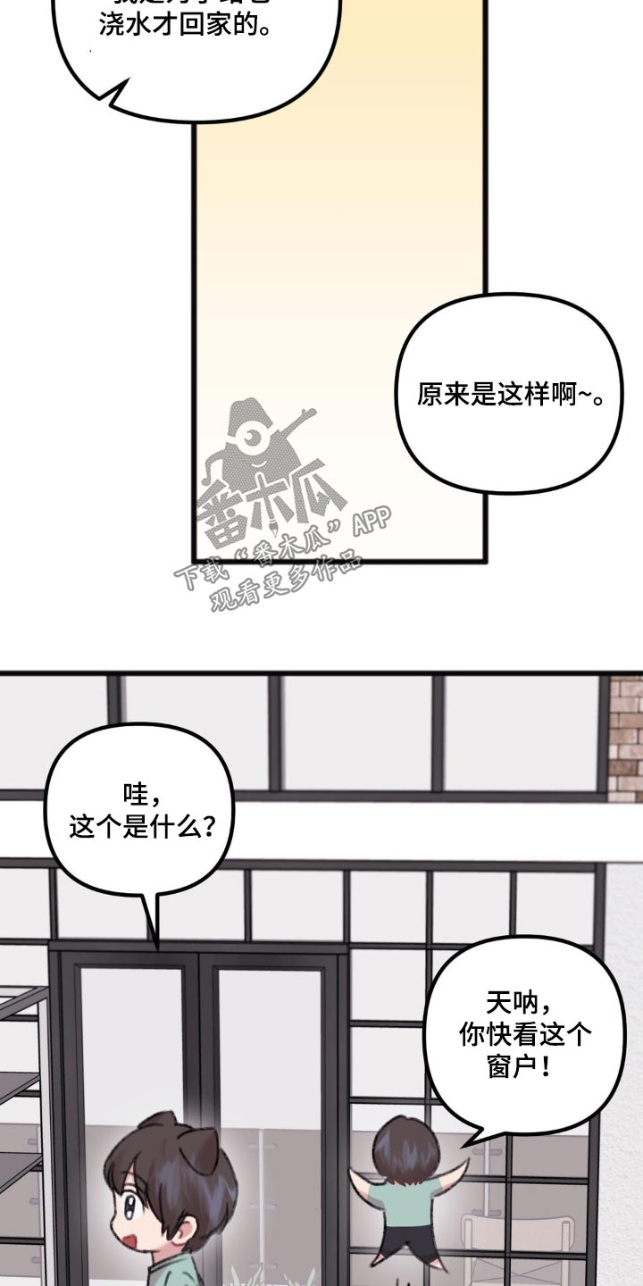 你喜欢我吗拉丁语漫画,第44话2图