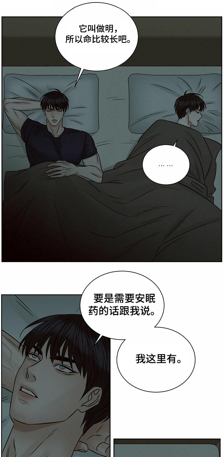 即便你不爱我在哪儿看漫画,第116话1图