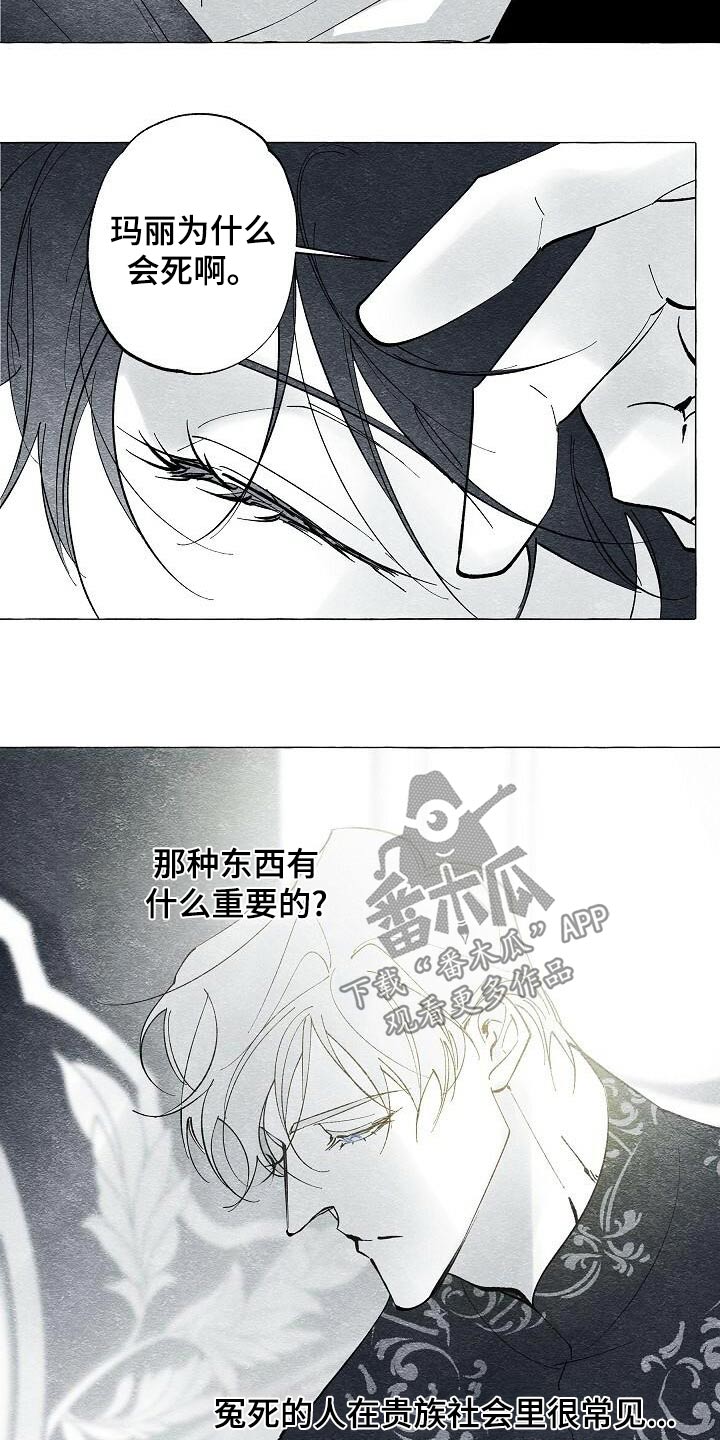 面纱里的影漫画,第62话1图
