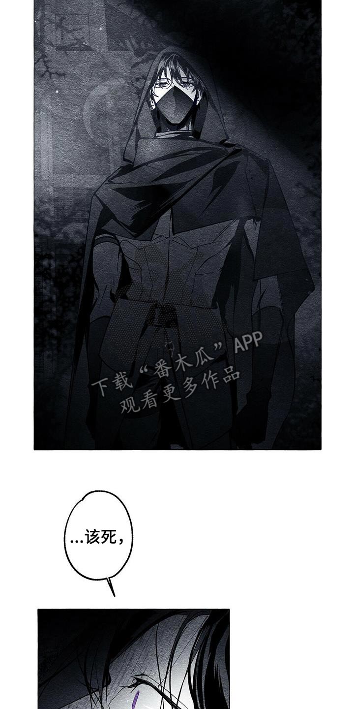面纱里的影漫画,第52话1图