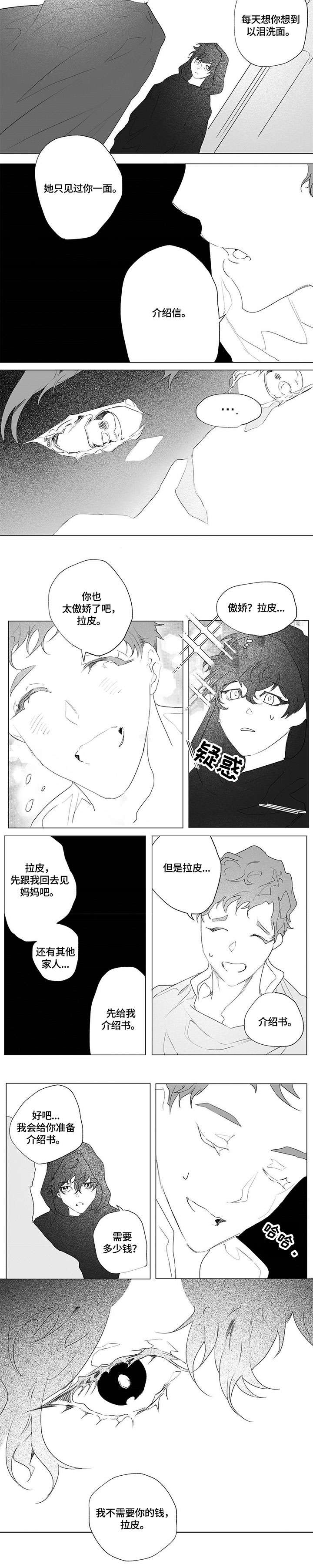 面纱里的影漫画,第3话2图