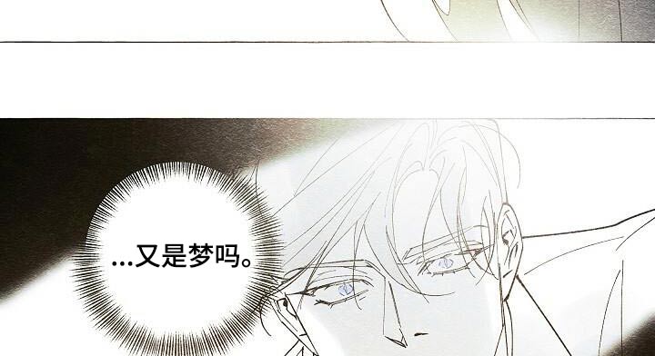面纱里的影漫画,第60话1图