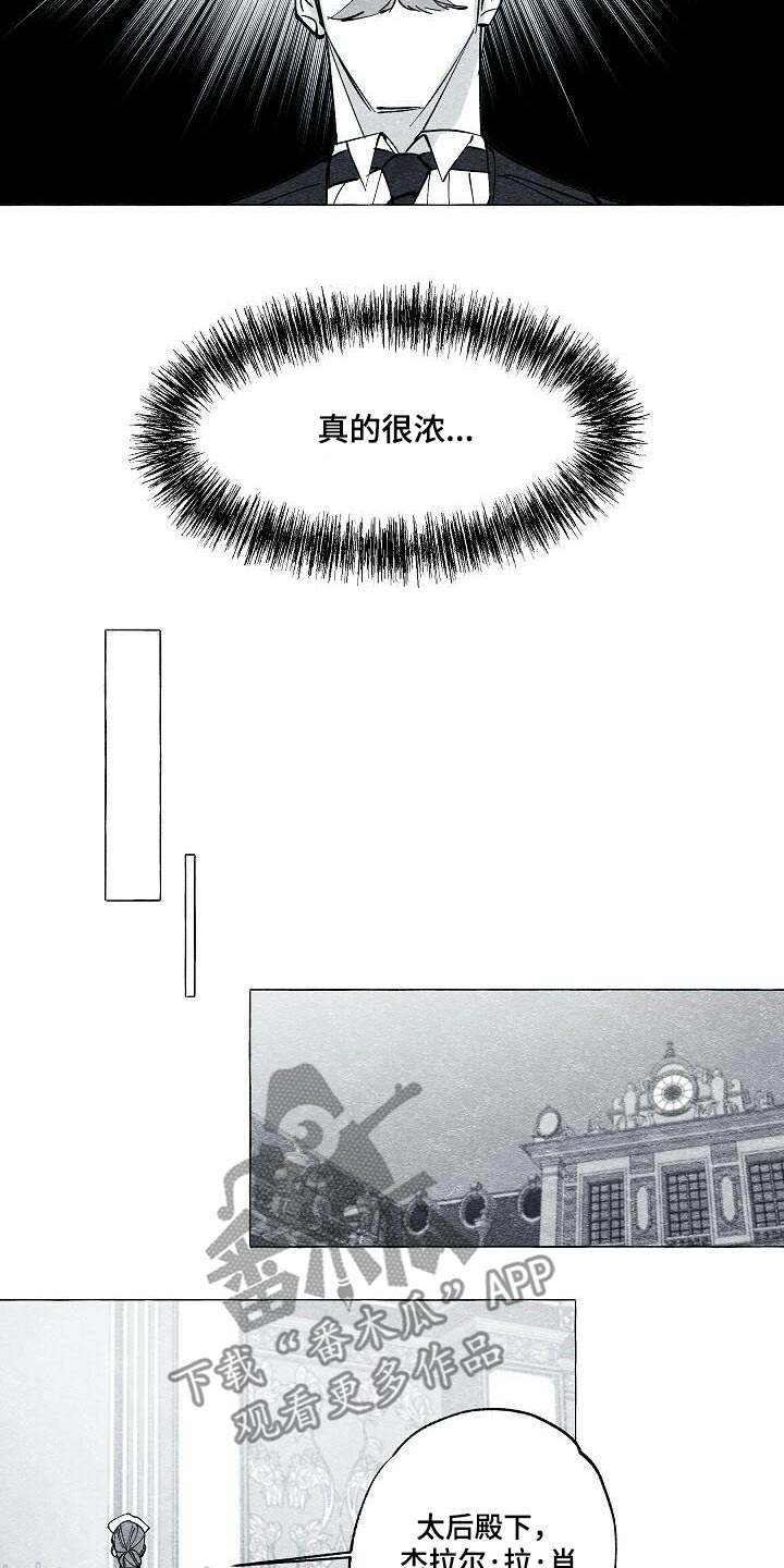 面纱里的影漫画,第65话2图