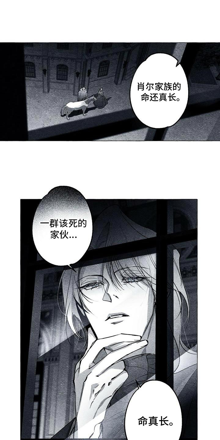 面纱里的影漫画,第50话2图