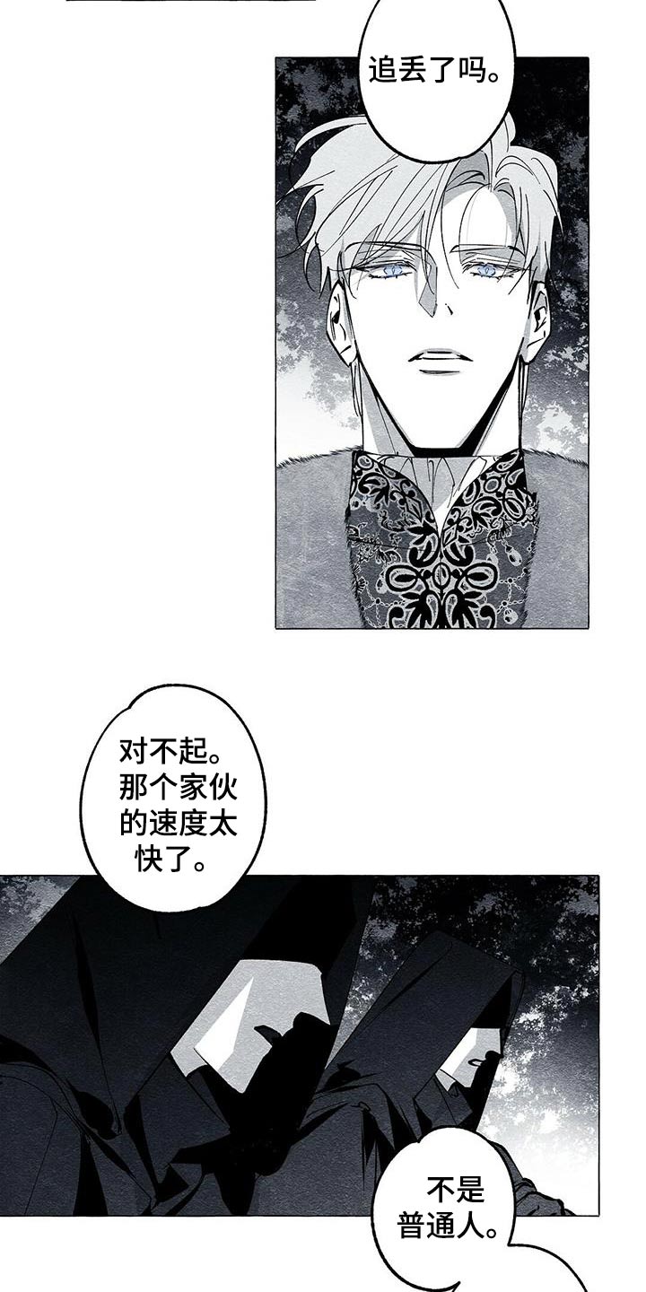 面纱里的影漫画,第53话1图