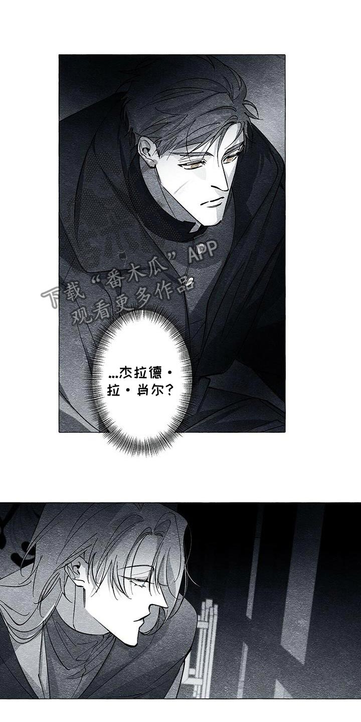 面纱里的影漫画,第50话1图