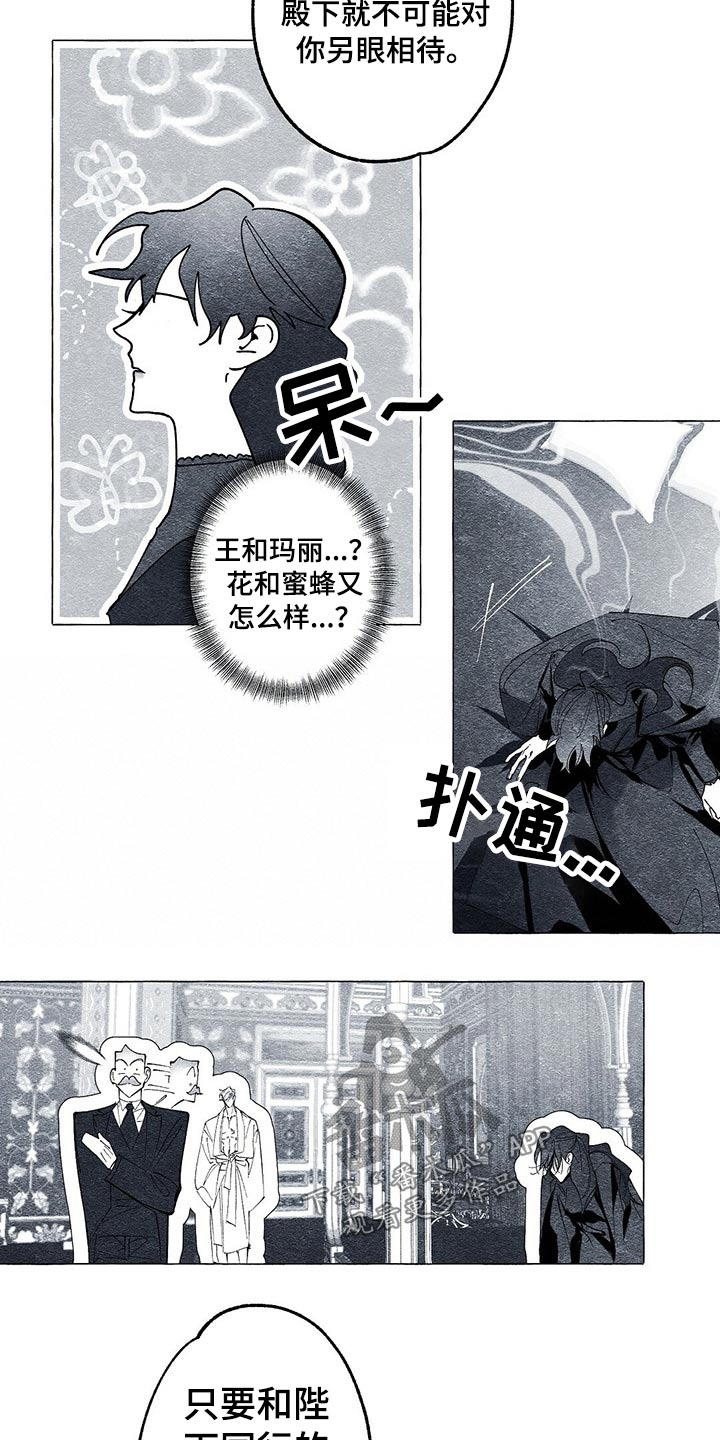 面纱里的影漫画,第33话1图