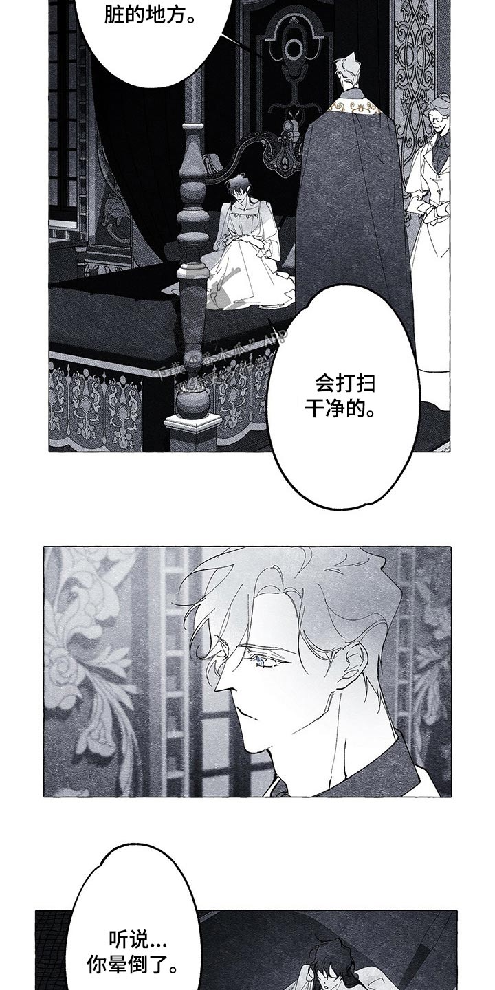 面纱里的影漫画,第19话1图