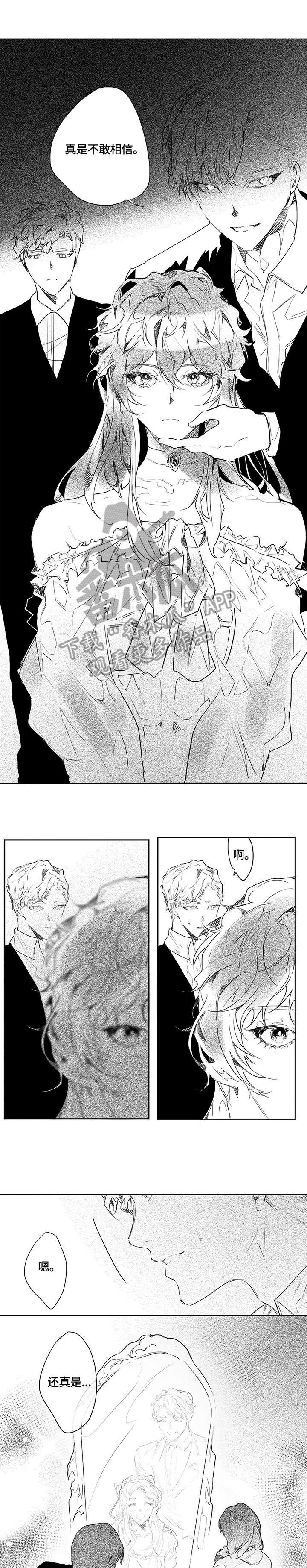 面纱里的影漫画,第11话2图