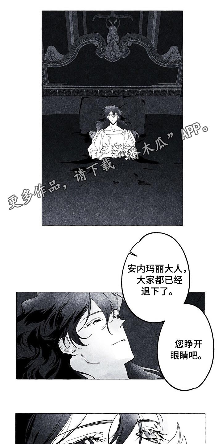 面纱里的影漫画,第18话1图