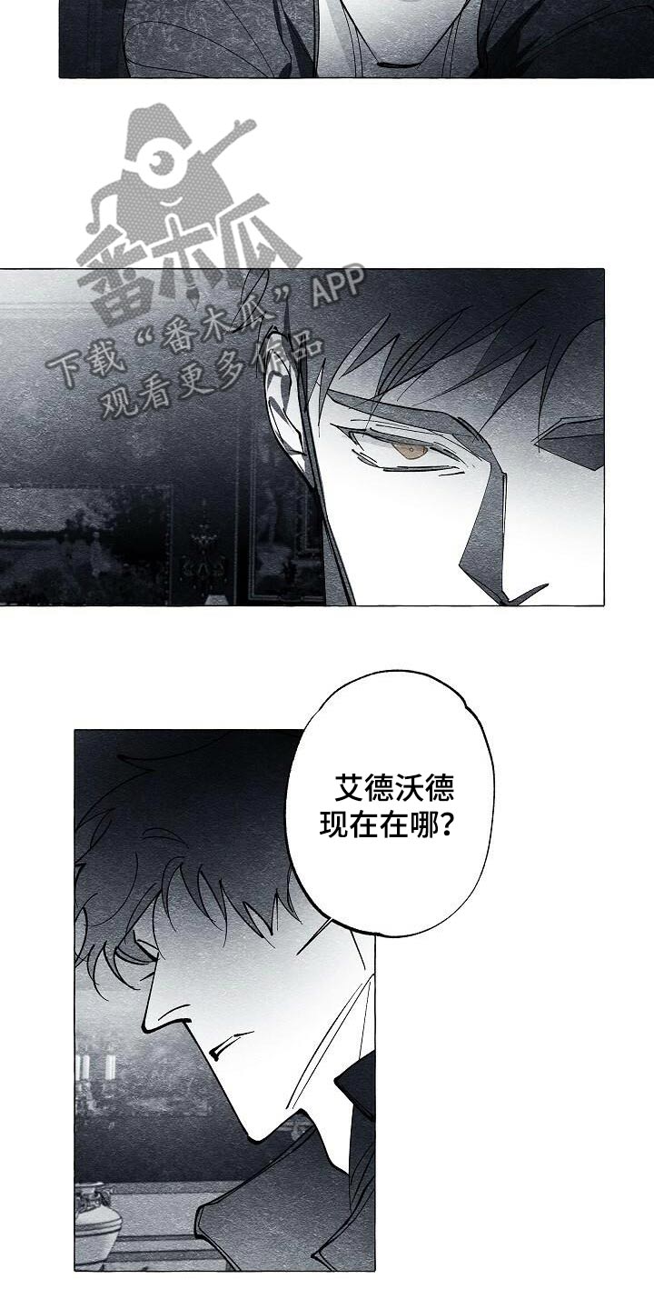 面纱里的影漫画,第66话1图