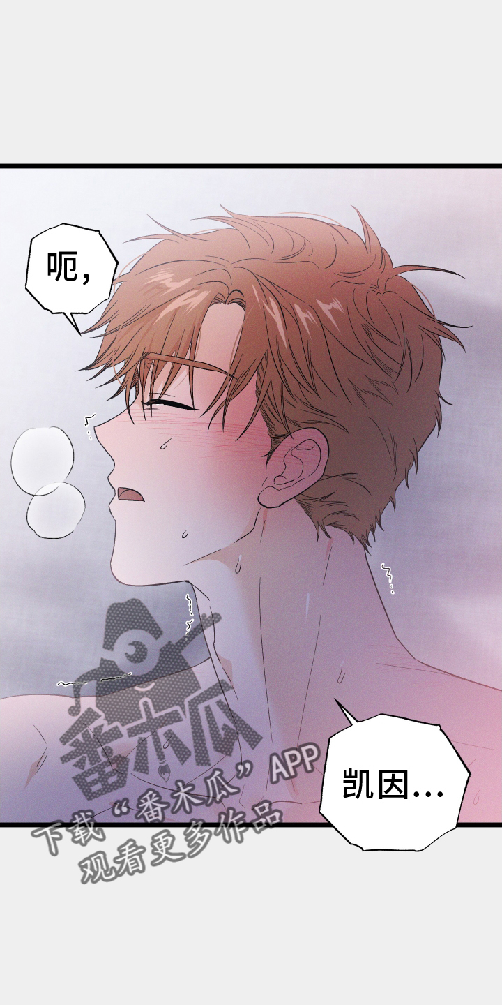 孤岛惊魂3漫画,第55章：照片2图