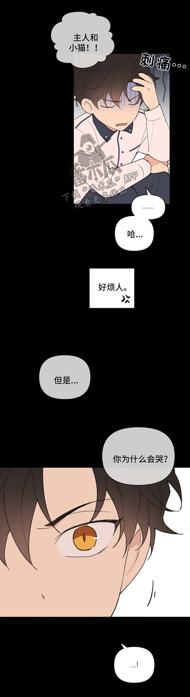 学院代表漫画,第78话1图