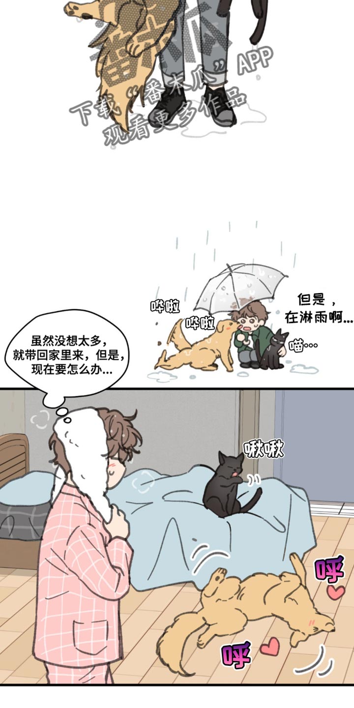 学院代表漫画,第169话2图