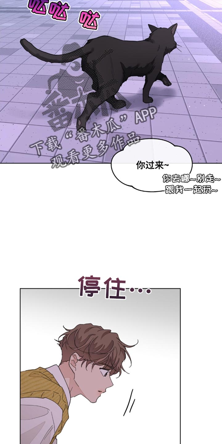 学院代表漫画,第160话2图