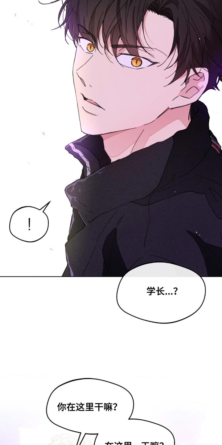 学院代表漫画,第160话2图