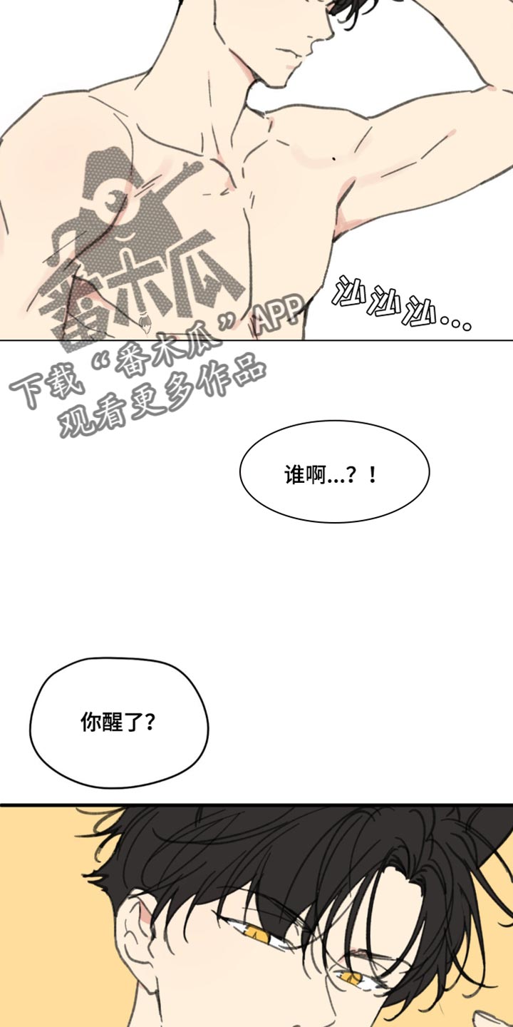 学院代表漫画,第169话1图