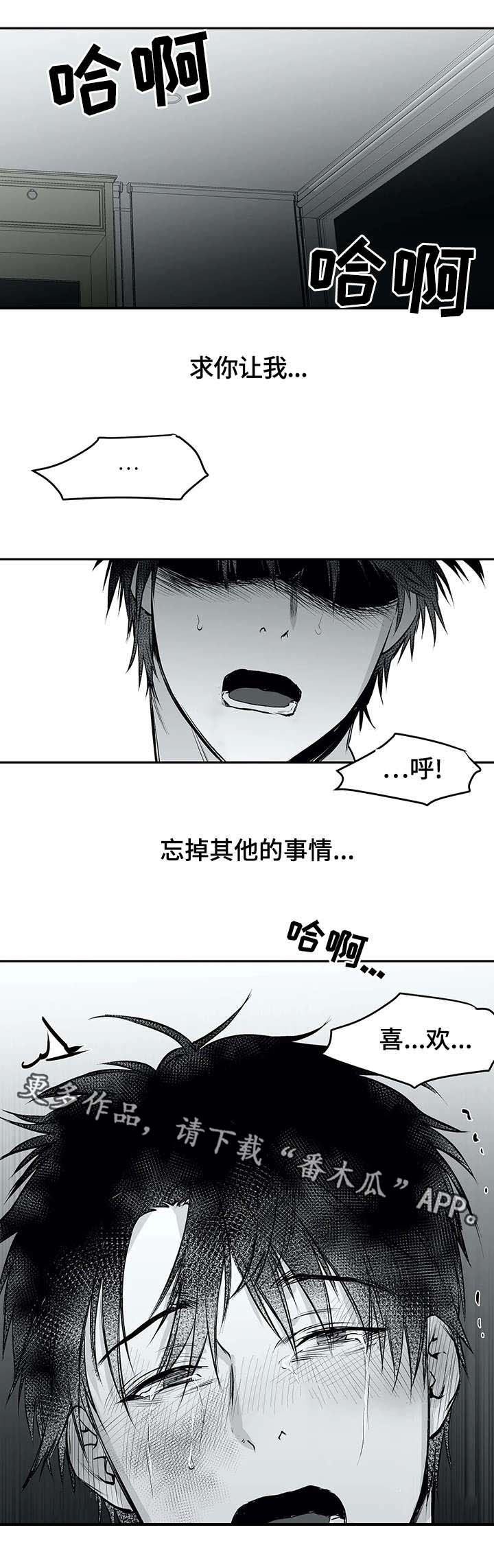 拳击手漫画,第27话1图