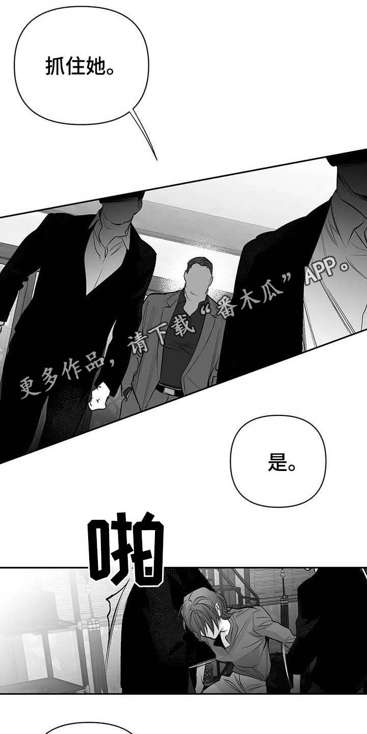 拳击手漫画,第147话1图