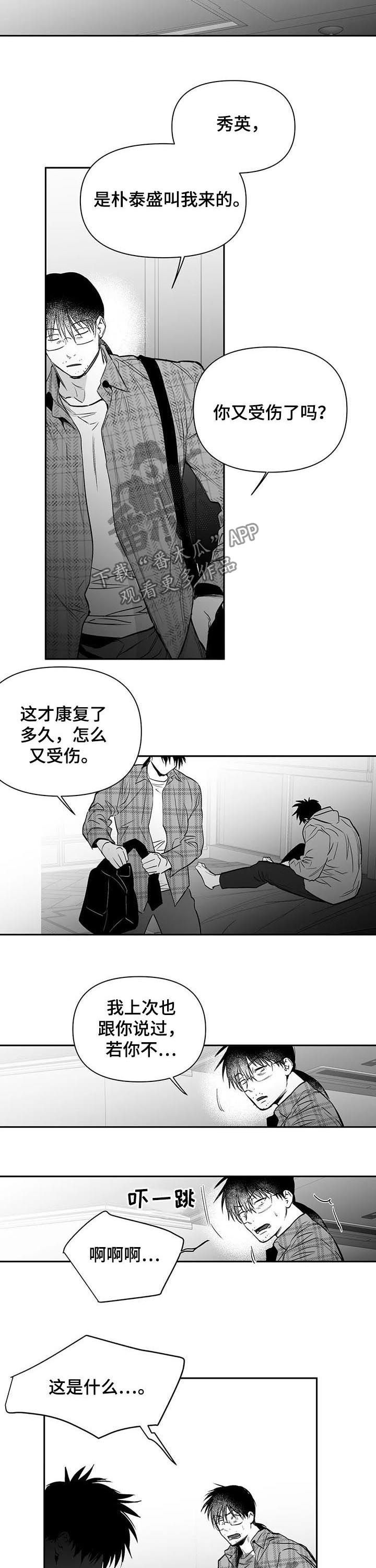 拳击手漫画,第130话2图