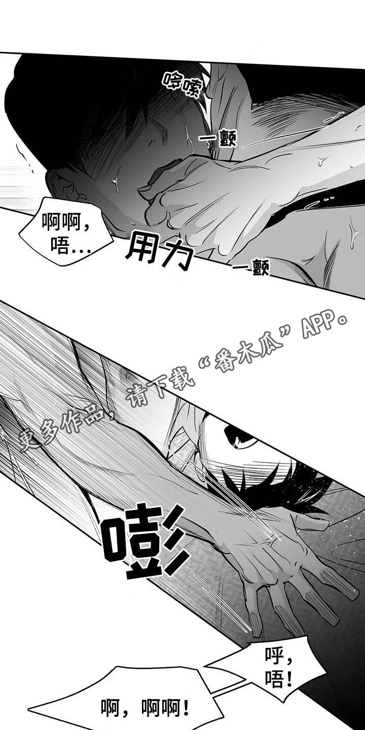 拳击手漫画,第150话1图