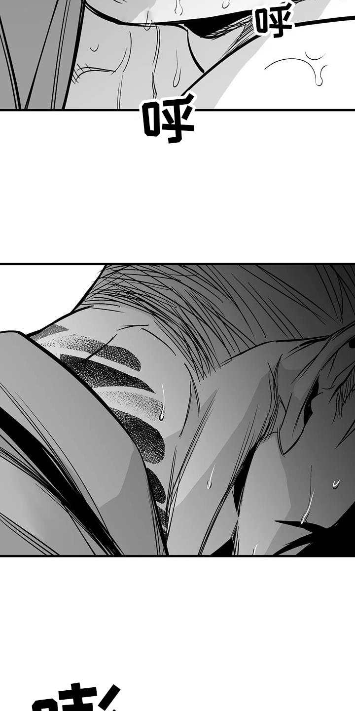 拳击手漫画,第237话1图