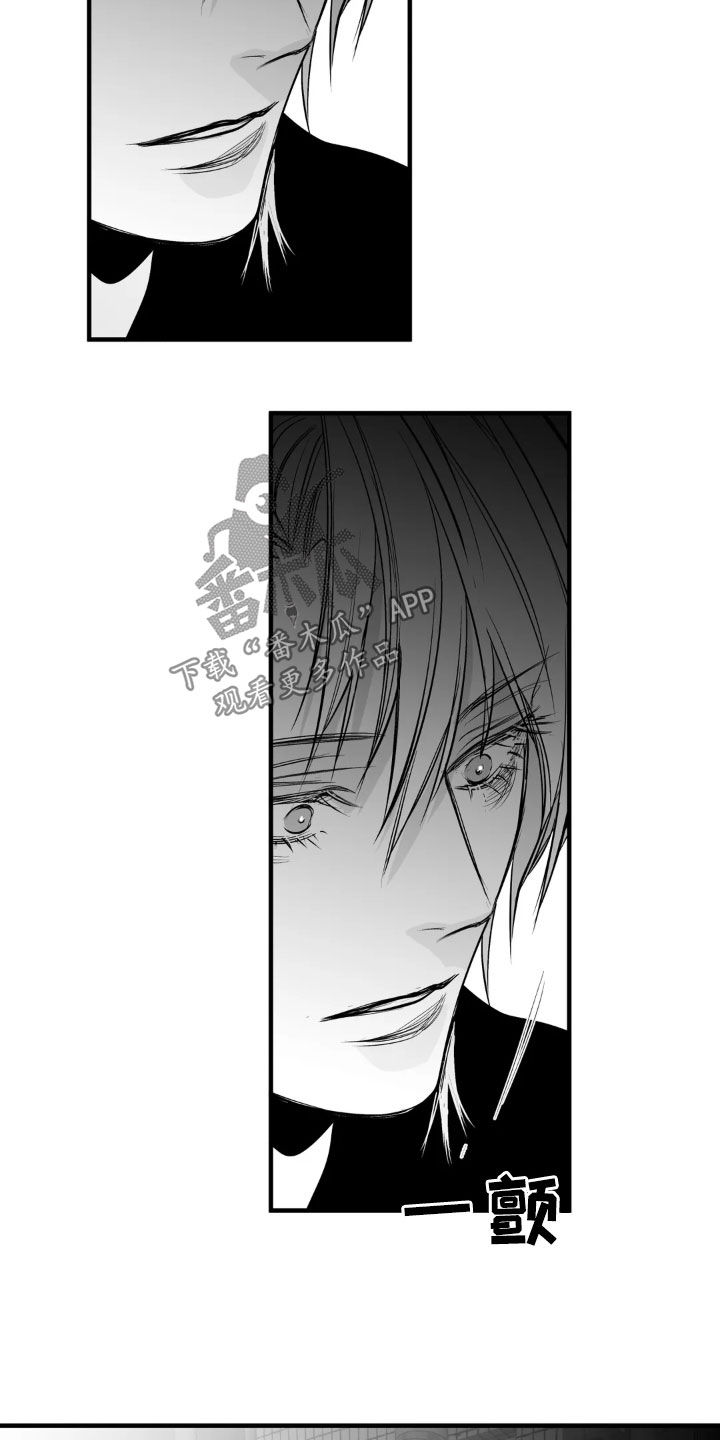 拳击手漫画,第257话2图