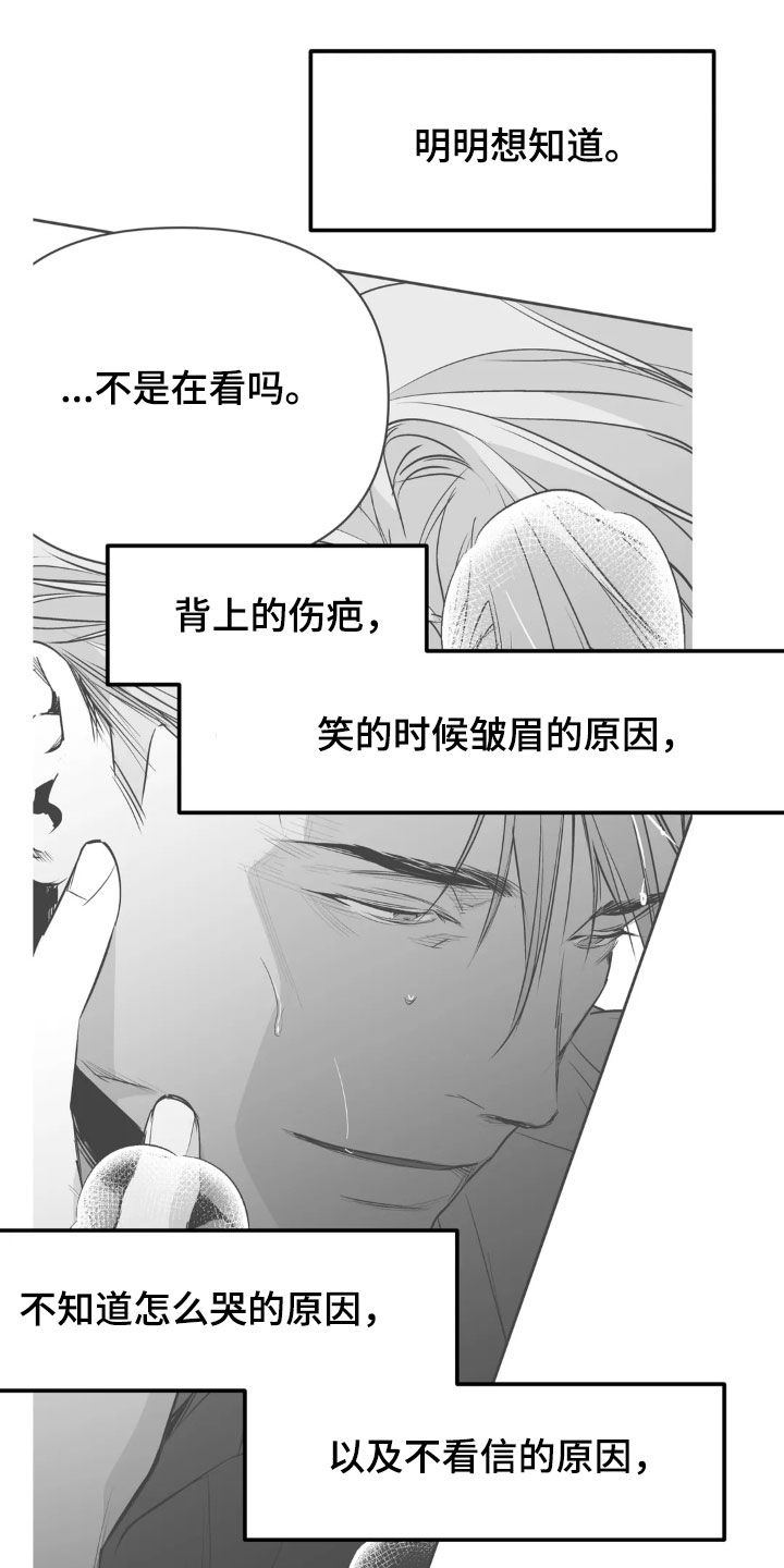 拳击手漫画,第254话2图