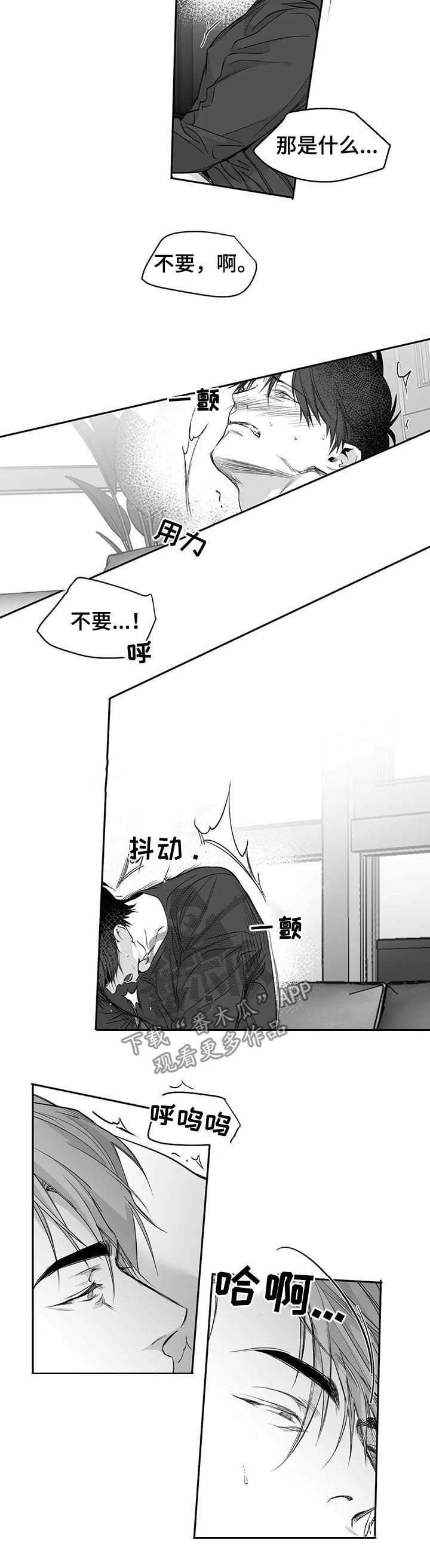 拳击手漫画,第93话2图