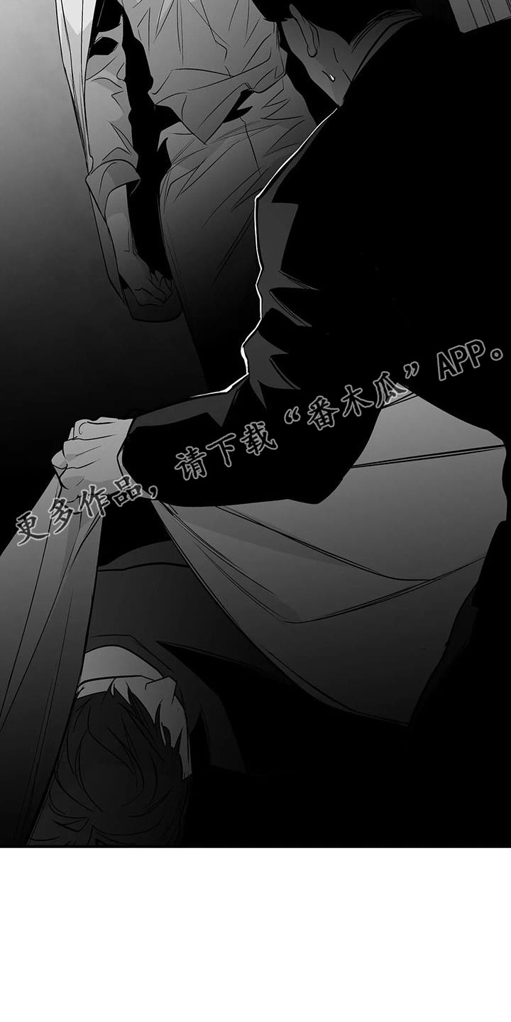 拳击手漫画,第221话1图
