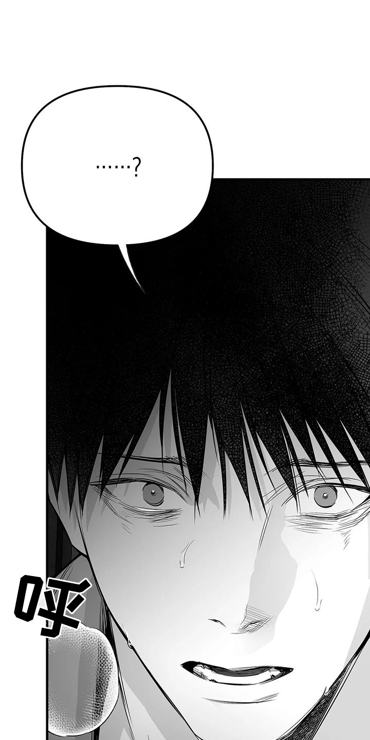 拳击手漫画,第232话1图