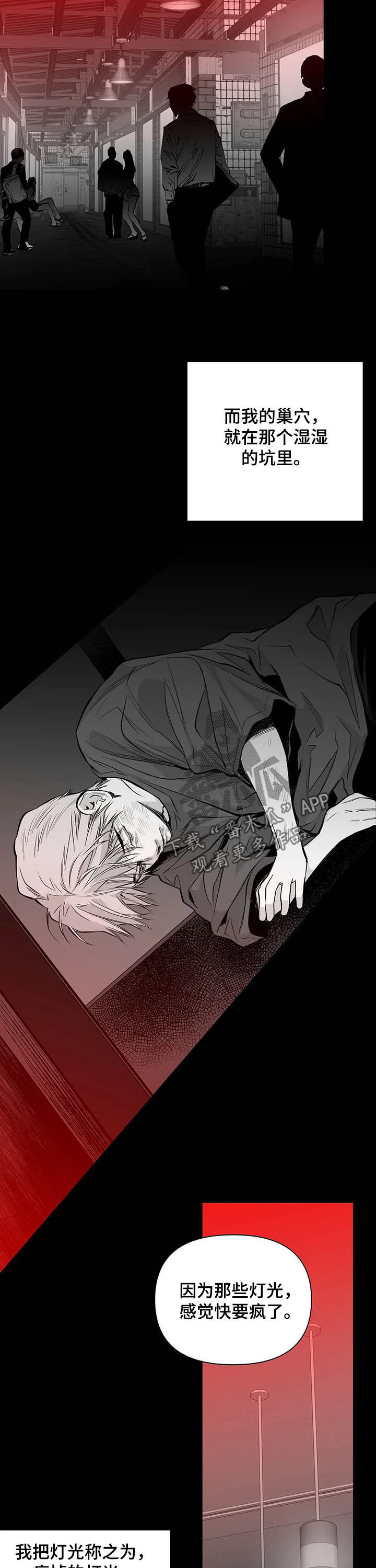 拳击手漫画,第135话2图